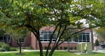 An image of the eastern redbud tree in the Rowan University Arboretum, Glassboro New Jersey.