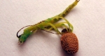Stick insect nymph hatching from egg.