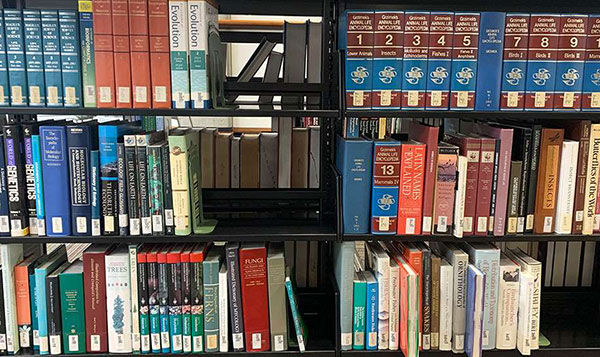 A photograph of library books on a shelf about trees.